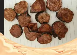 附L忀蓭?f(附属和附和一样意思吗)