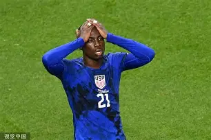 樊振东与波尔比赛的关系 樊振东与波尔比赛的关系